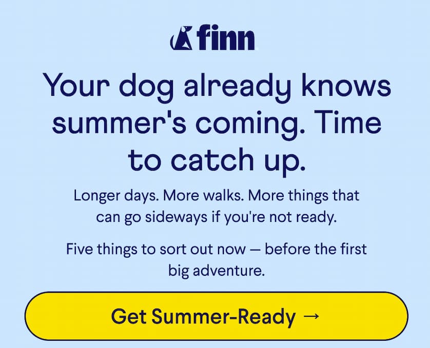 Finn Logo. Text: Your dog already knows summer's coming. Time to catch up. Longer days. More walks. More things that can go sideways if you're not ready. &nbsp; Five things to sort out now — before the first big adventure.  CTA: Get Summer-Ready →