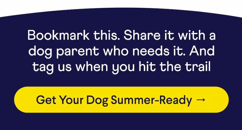 Text: Bookmark this. Share it with a dog parent who needs it. And tag us when you hit the trail. CTA: Get Your Dog Summer-Ready →