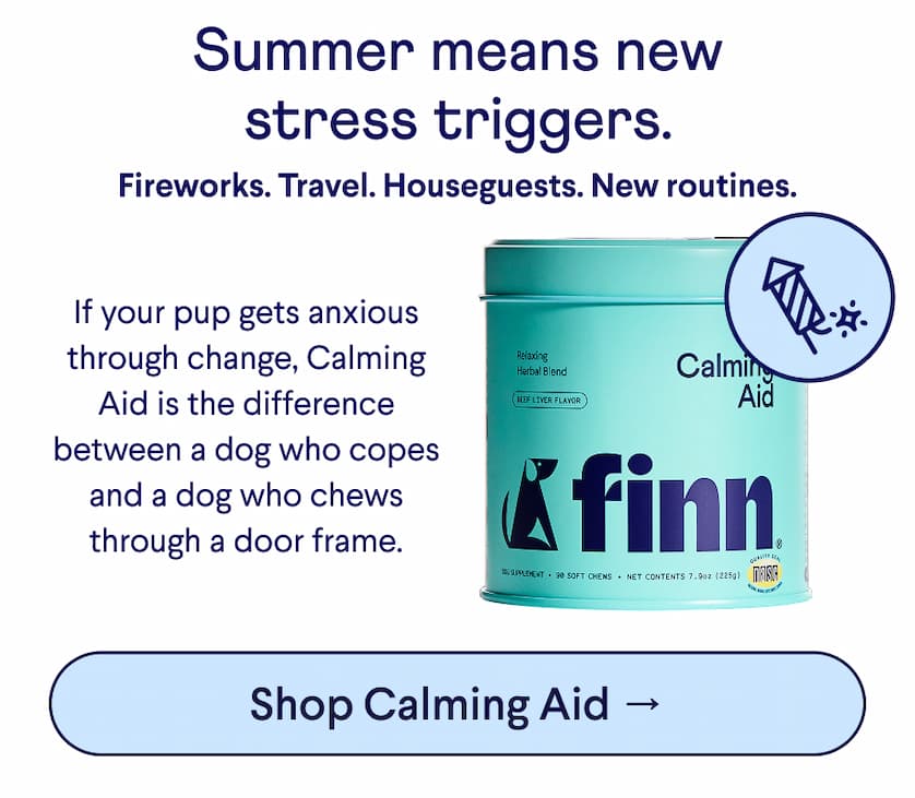 Text: Summer means new stress triggers. Fireworks. Travel. Houseguests. New routines. If your pup gets anxious through change, Calming Aid is the difference between a dog who copes and a dog who chews through a door frame. CTA: Shop Calming Aid →