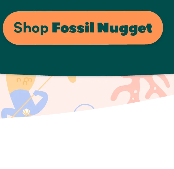 Shop Fossil Nugget