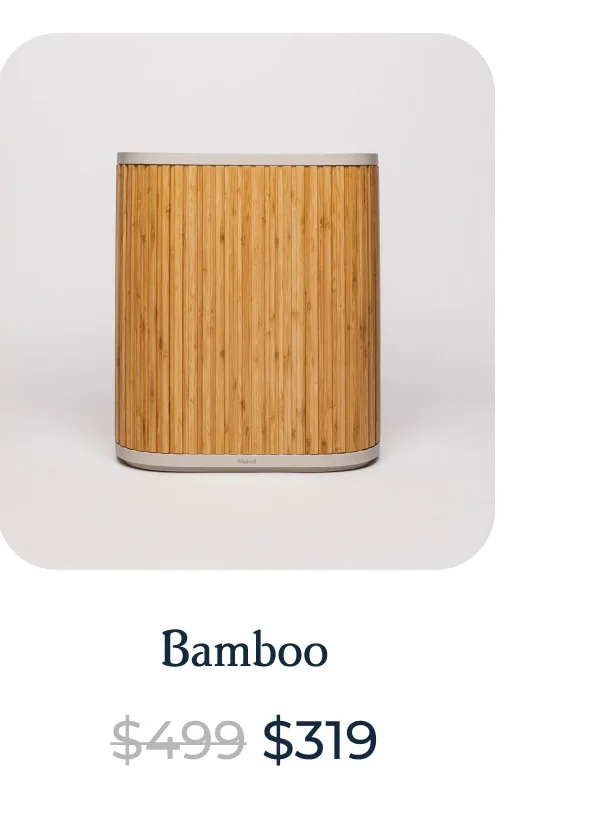 Bamboo