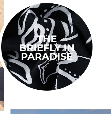 THE BRIEFLY IN PARADISE