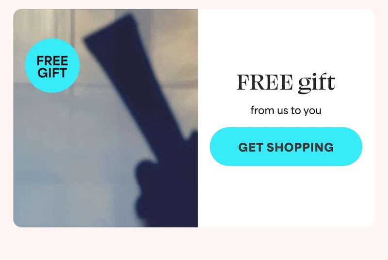 FREE gift with orders $100+ -- get shopping