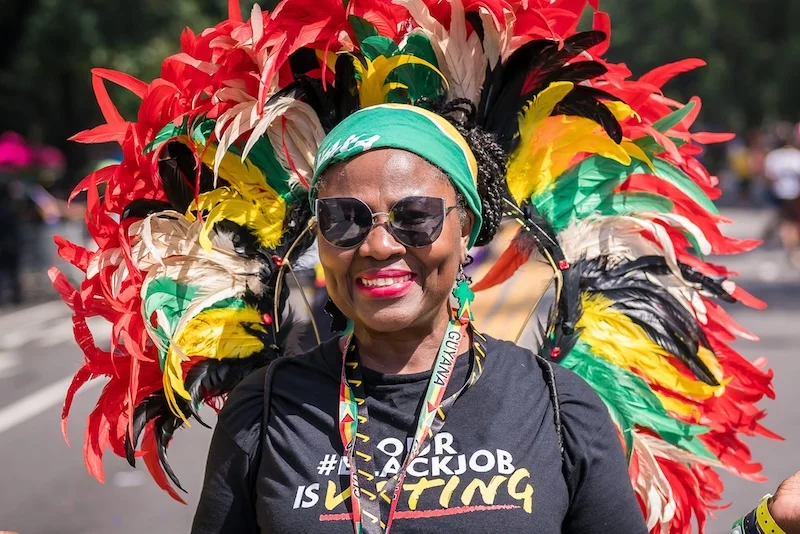 Artwork featuring a young person in an elaborate costume amid vibrant patterns