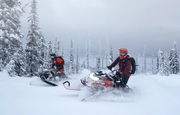 Riders driving Shredder sleds in winter
