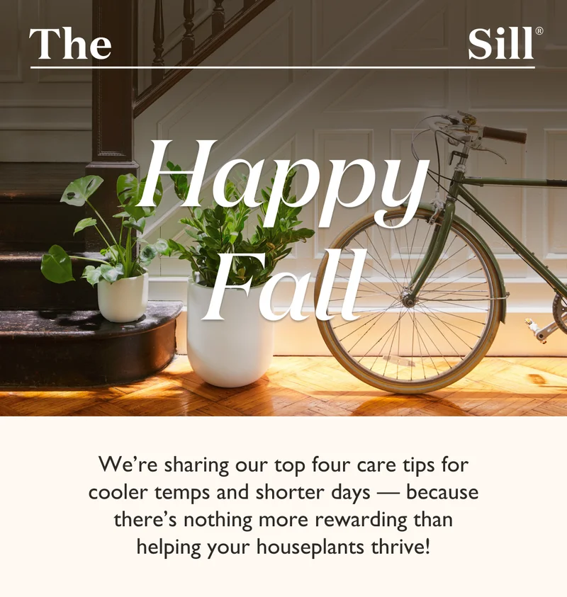 Happy Fall! Shop the newest indoor and outdoor plants for your home and garden.