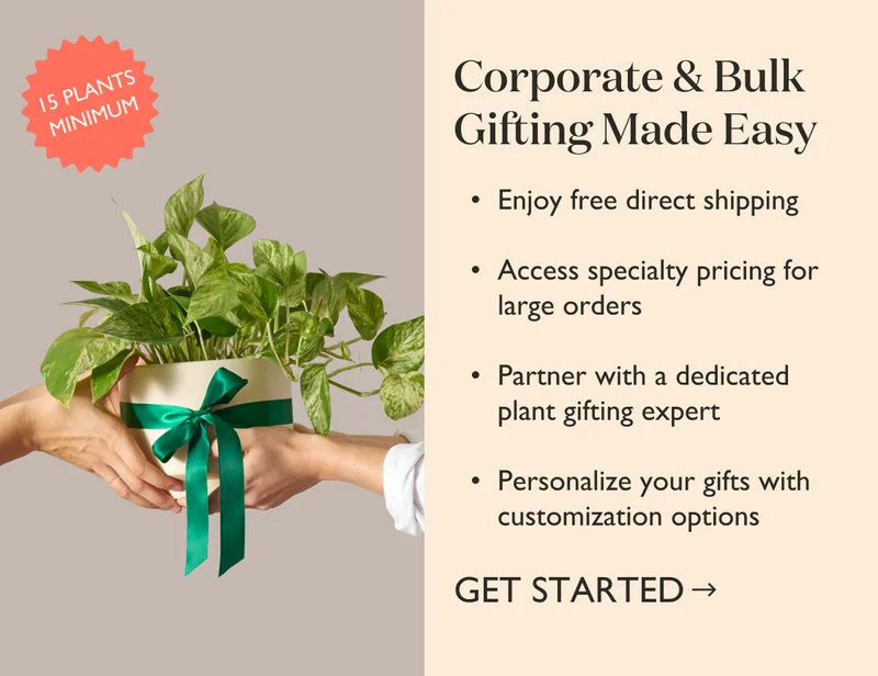Corporate and Bulk Gifting Made Simple - Learn More