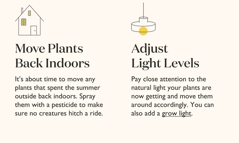 Help plants thrive during fall's shorter days with less light. Shop Grow Lights.