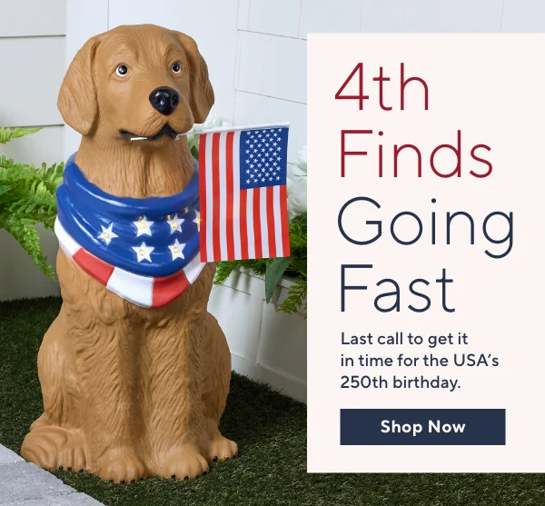 LAST CALL! Get It All In Time for July 4th!