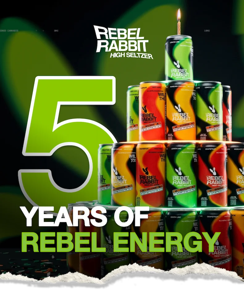 Rebel Rabbit: 5 Years of Rebel Energy