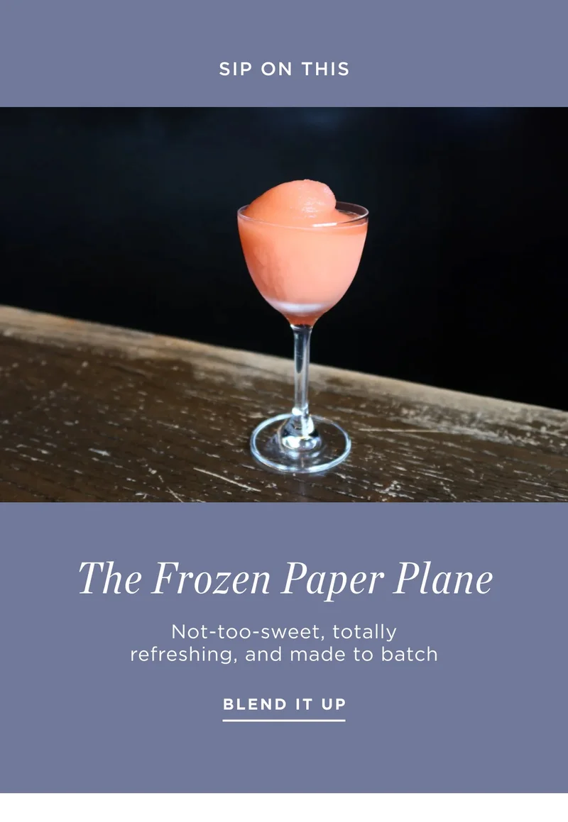 The Frozen Paper Plane The Frozen Paper Plane