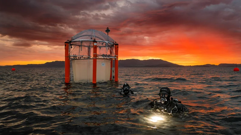 Two scientists in diving gear (right) monitor a mesocosm (left)—an experimental enclosure—in the ocean off the coast of Norway to see how seawater absorbs carbon dioxide from alkaline materials.