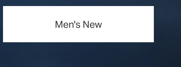 Men's New