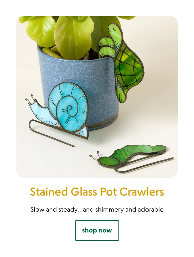 stained-glass-pot-crawlers