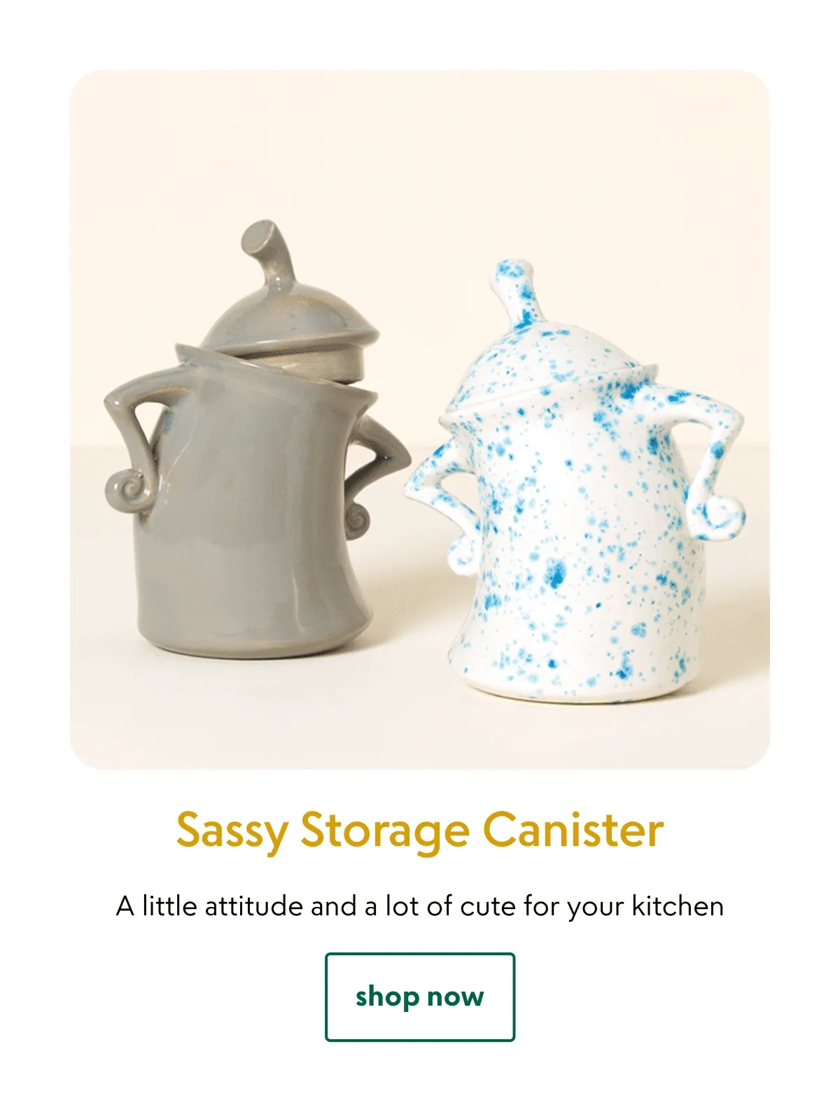 sassy-storage-canister