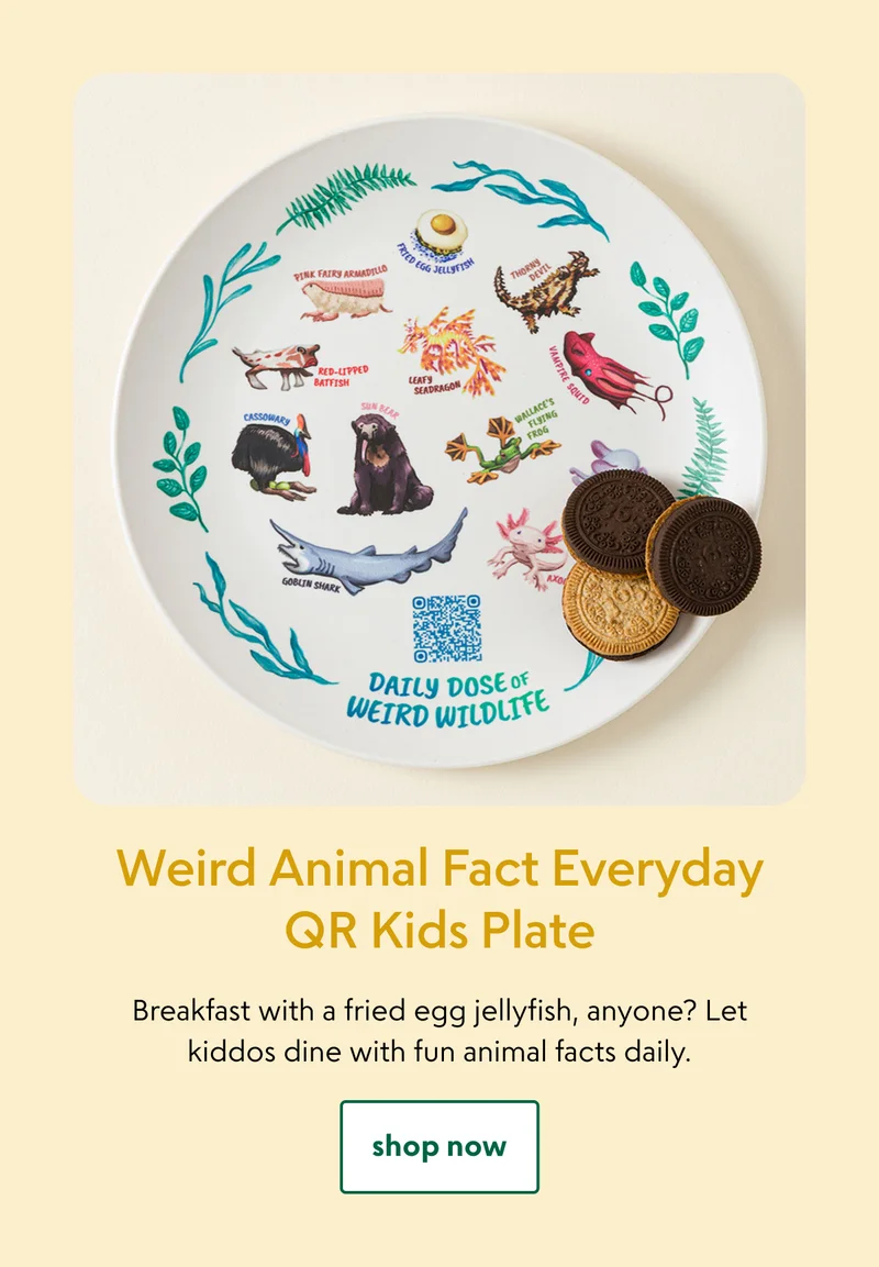 weird-animal-fact-everyday-qr-kids-plate