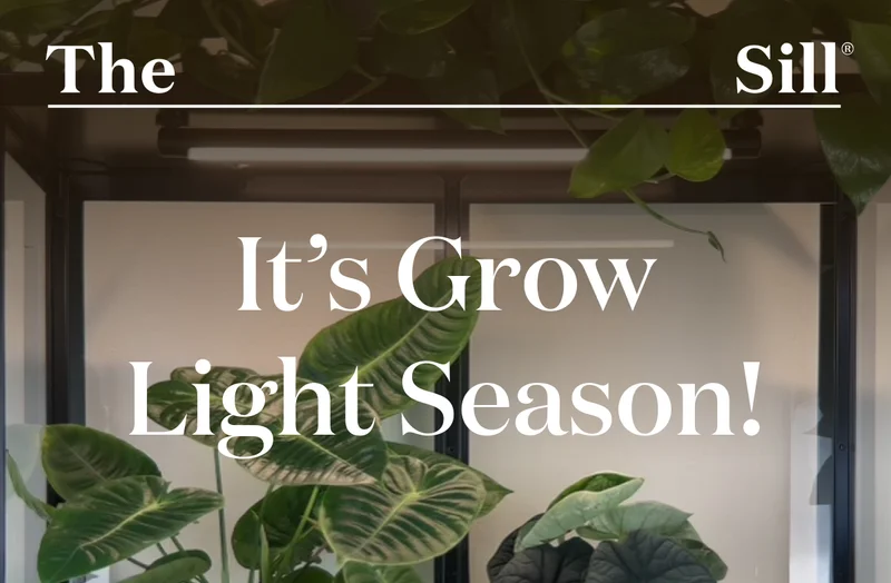 It's Grow Light Season!