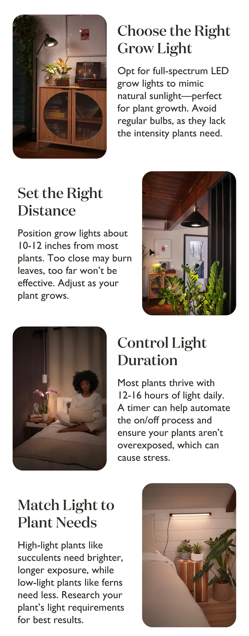 Shop Grow Lights