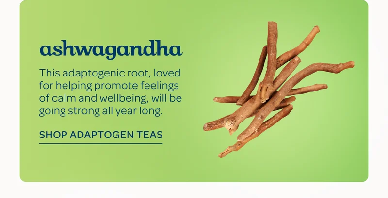 Ashwagandha - This adaptogenic root, loved for helping promote feelings of calm and wellbeing, will be going strong all year long. - Shop adaptogen teas