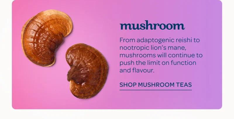 Mushroom - From adaptogenic reishi to nootropic lion’s mane, mushrooms will continue to push the limit on function and flavour. - Shop mushroom teas