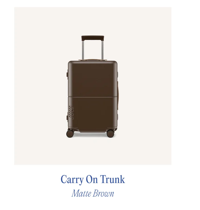 Carry On Trunk Matte Brown