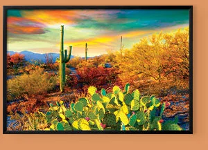 Arizona Desert Colors