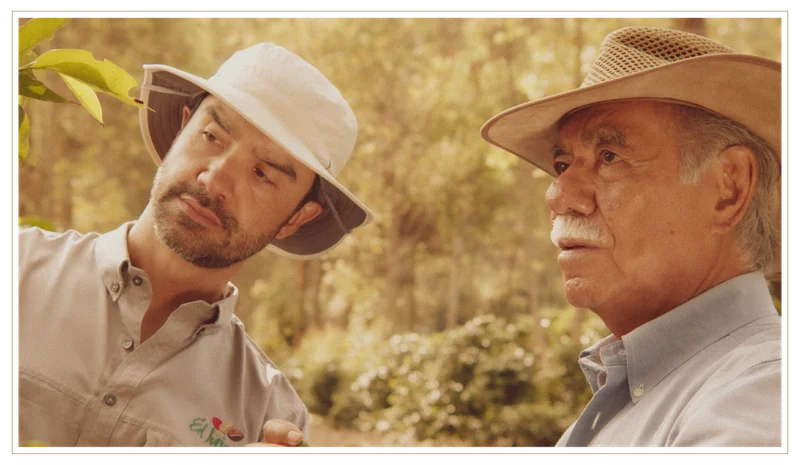 Coffee Growers of Guatemala El Injerto Bourbon