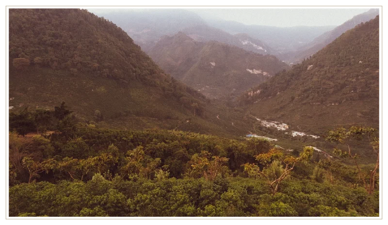Guatemala El Injerto Bourbon Landscape