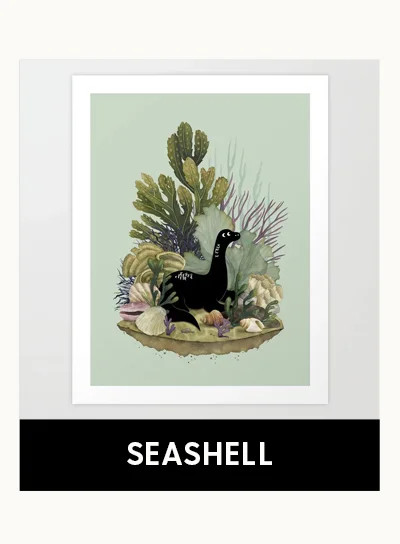 Shop Seashell Art Prints