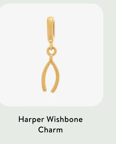 Harper Wishbone Charm