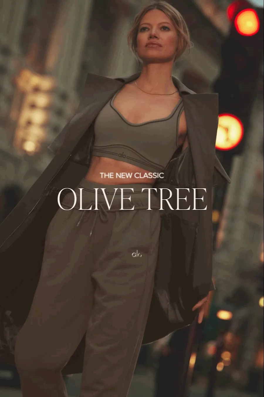 THE NEW CLASSIC OLIVE TREE