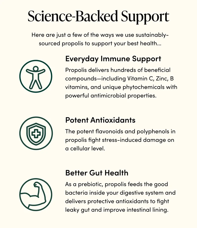 Science-Backed Support           Here are just a few of the ways we use sustainably-sourced propolis to support your best health…                Everyday Immune Support            Propolis delivers hundreds of beneficial compounds—including Vitamin C, Zinc, B vitamins, and unique phytochemicals with powerful antimicrobial properties.   Potent Antioxidants   The potent flavonoids and polyphenols in propolis fight stress-induced damage on a cellular level.             Better Gut Health         As a prebiotic, propolis feeds the good bacteria inside your digestive system and delivers protective antioxidants to fight leaky gut and improve intestinal lining.
