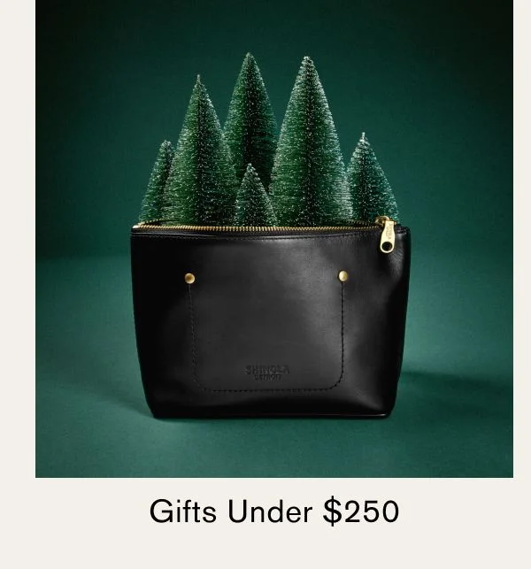 Gifts Under $250