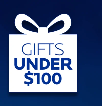 Gifts Under $100