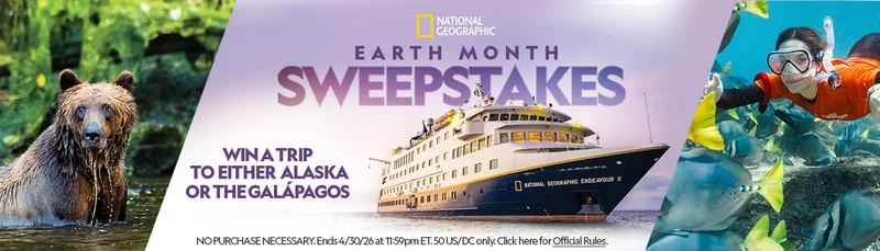 A poster for National Geographic Earth Month Sweepstakes with a bear, a ship, and a diver. A poster for National Geographic Earth Month Sweepstakes with a bear, a ship, and a diver.