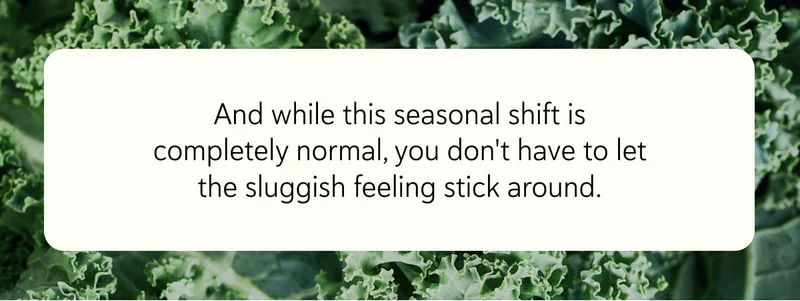 And while this seasonal shift is completely normal, you don't have to let the sluggish feeling stick around.