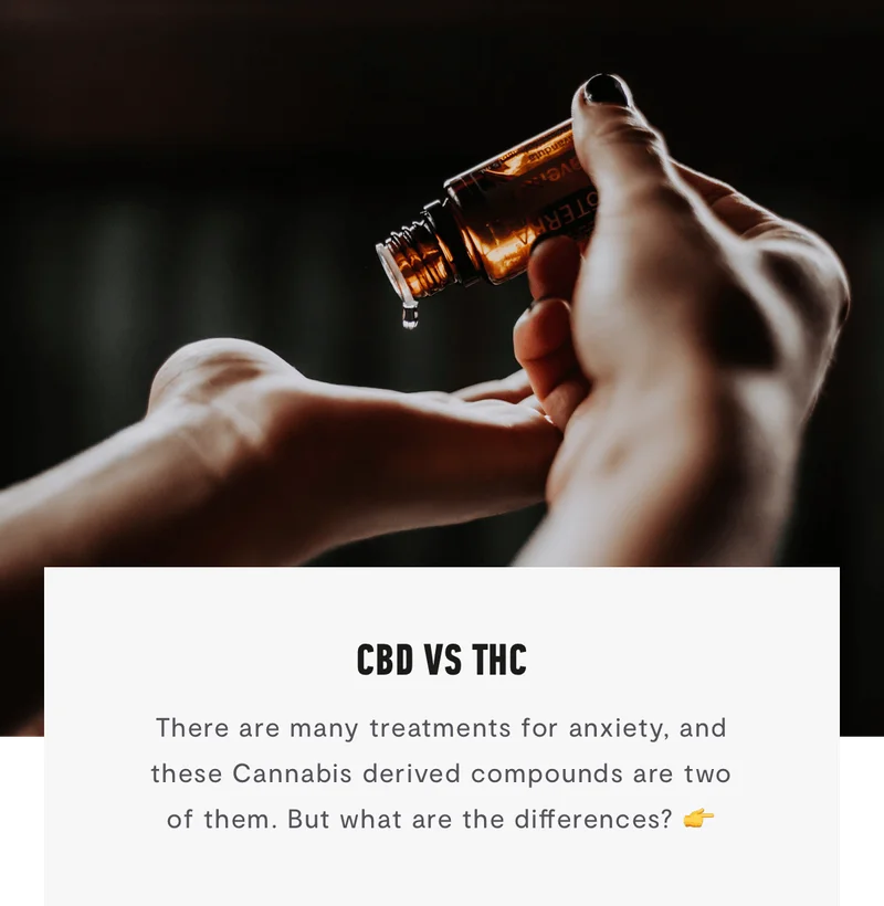 CBD vs THC