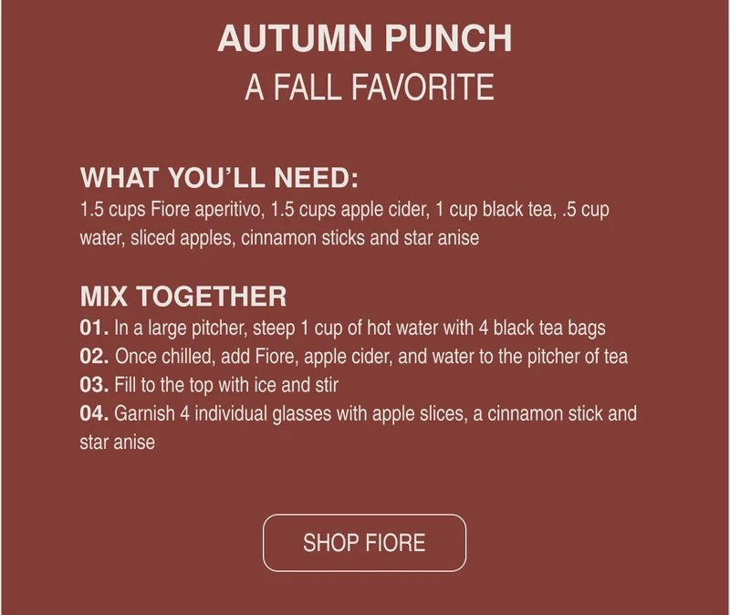 AUTUMN PUNCH A FALL FAVORITE