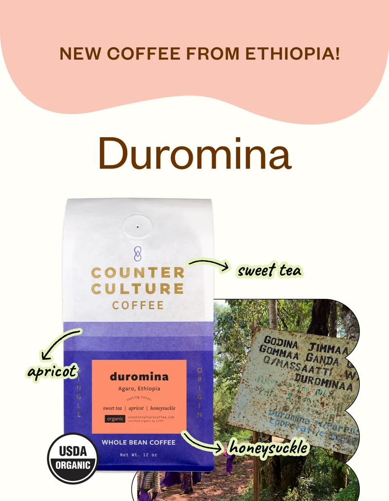 New coffee from Ethiopia! Duromina