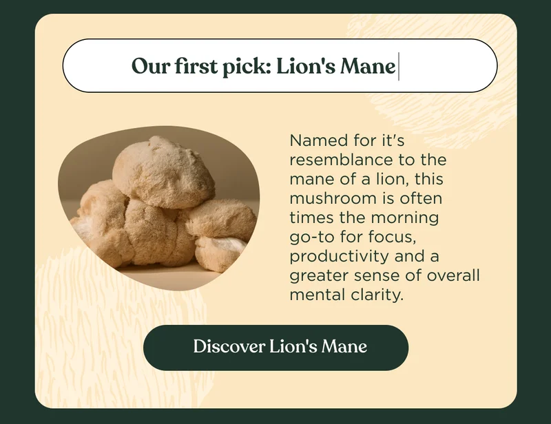 Our first pick: Lion's Mane | Named for it's resemblance to the mane of a lion, this mushroom is often times the morning go-to for focus, productivity and a greater sense of overall mental clarity. | Discover Lion's Mane