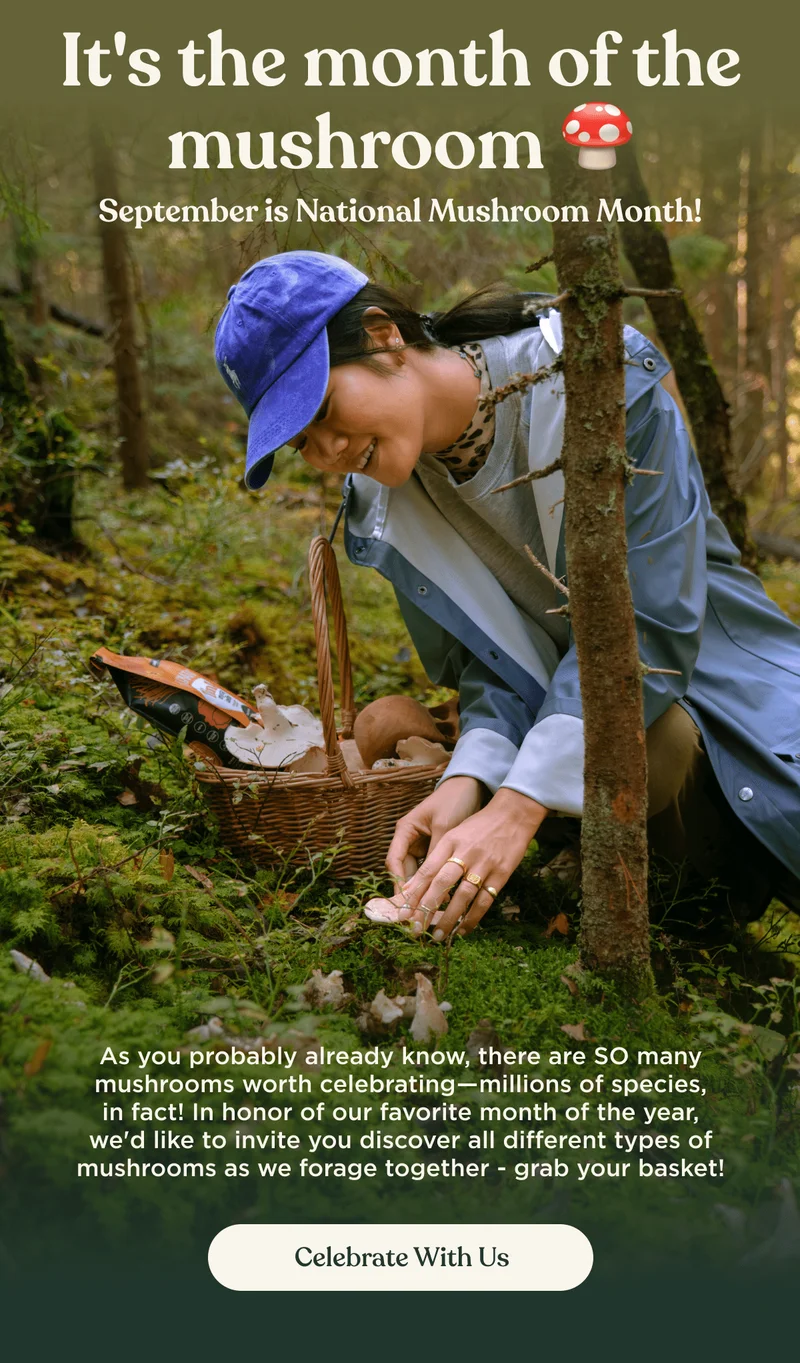 It's the month of the mushroom 🍄 | September is National Mushroom Month! | As you probably already know, there are SO many mushrooms worth celebrating—millions of species, in fact! In honor of our favorite month of the year, we'd like to invite you discover all different types of mushrooms as we forage together - grab your basket! | Celebrate with us