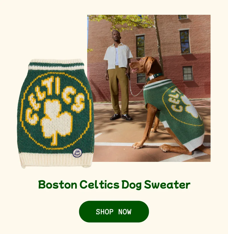 Boston Celtics Dog Sweater