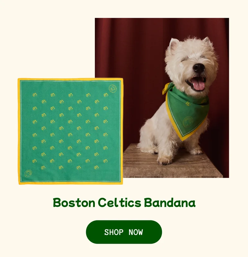 Boston Celtics Bandana