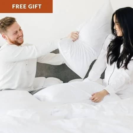 Two down alternative pillows