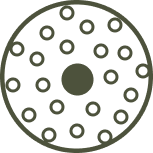 Icon Icon