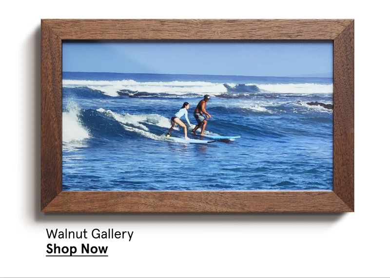 Walnut Gallery