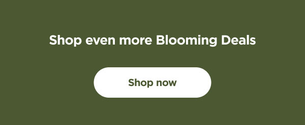 Shop even more Blooming Deals