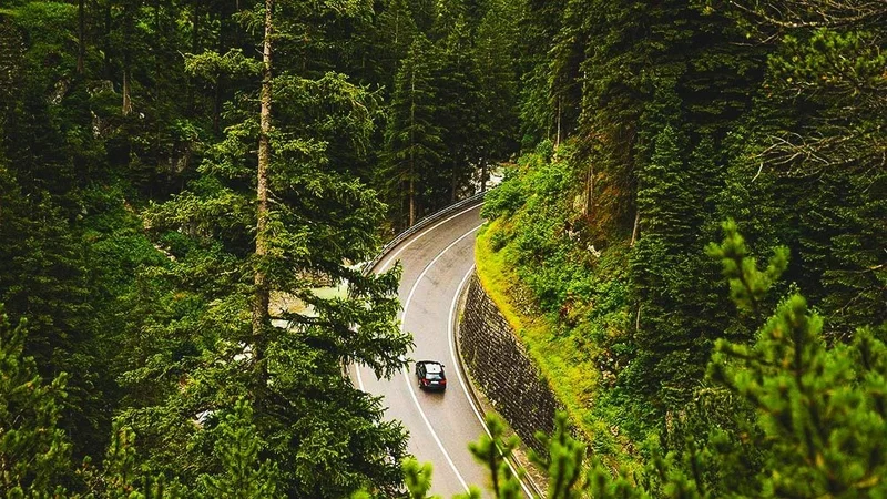 Image description: Car driving on a road through the forest.