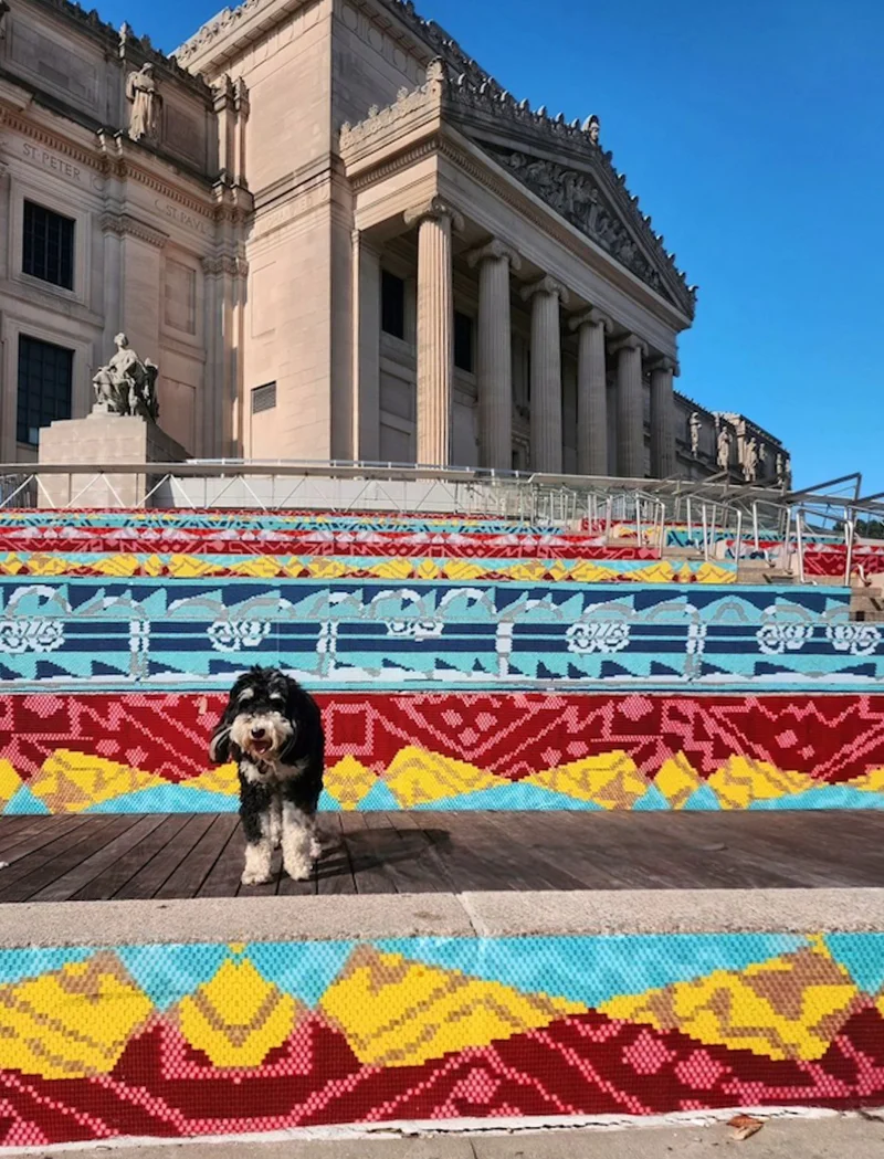 Dog on the Brooklyn Museum steps