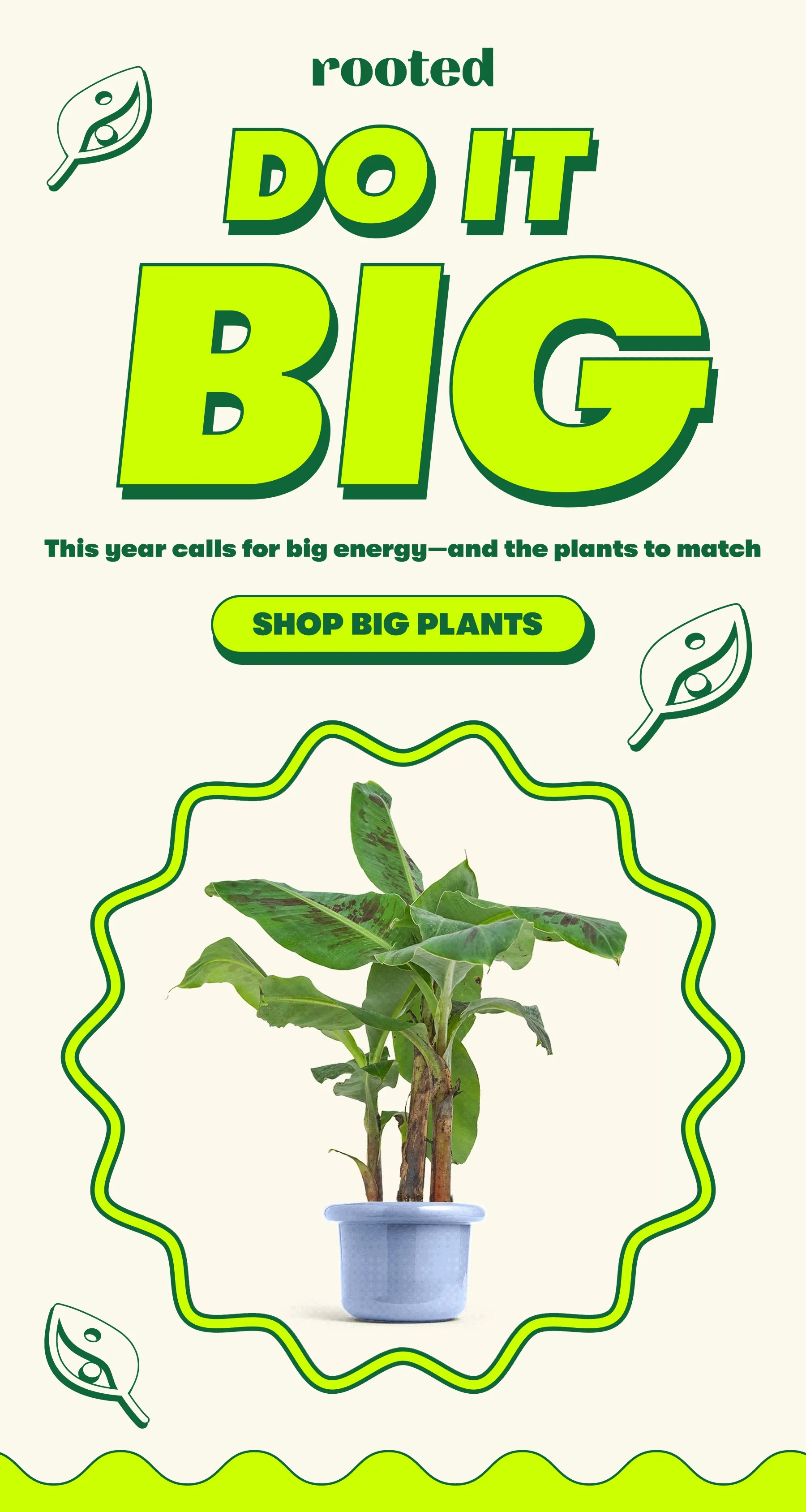 DO IT BIG This year calls for big energy—and the plants to match [SHOP BIG PLANTS]